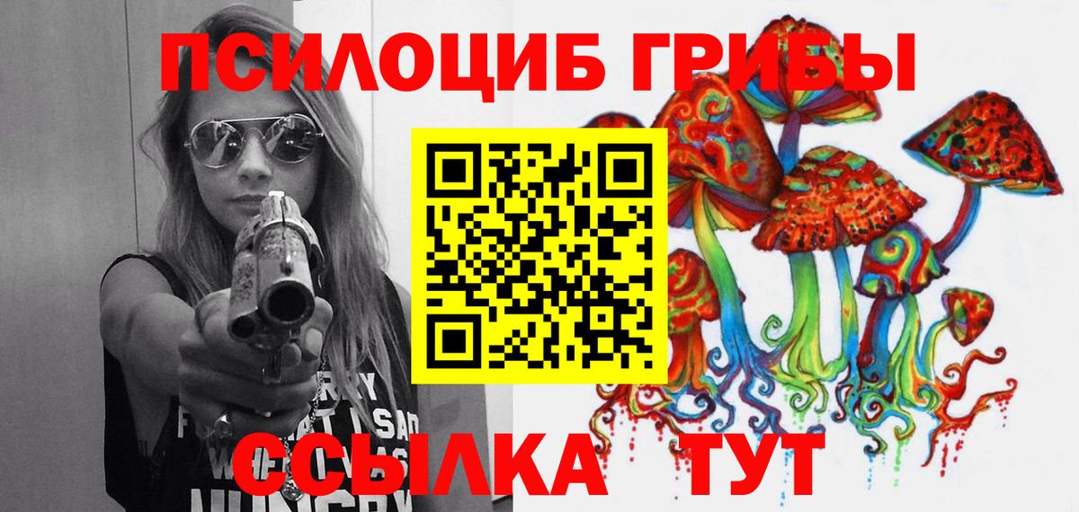 Псилоцибиновые грибы MAGIC MUSHROOMS Курчатов